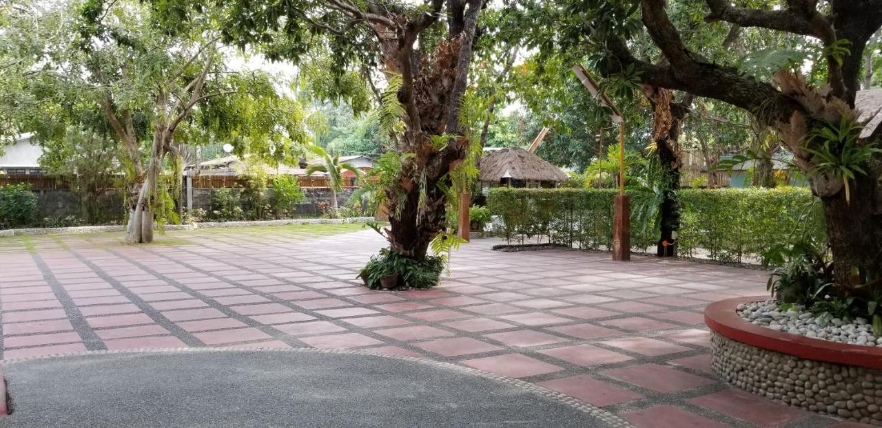Buenavista Family Inn Tagudin Exterior photo
